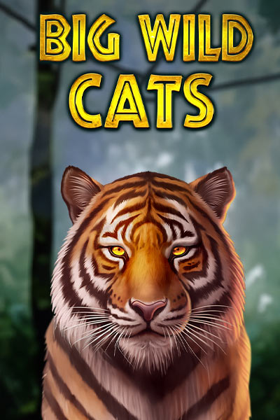 Big Wild Cats